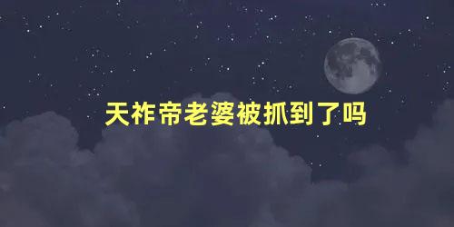 天祚帝老婆被抓到了吗