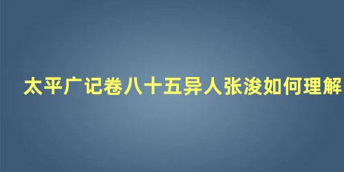 太平广记卷八十五异人张浚如何理解