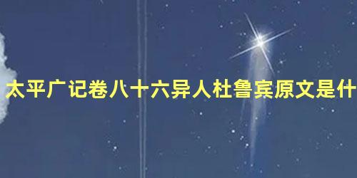 太平广记卷八十六异人杜鲁宾原文是什么内容