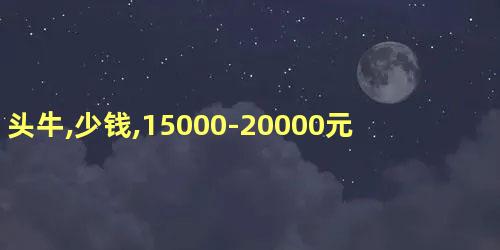 头牛,少钱,15000-20000元,左右,牛犊,3500元