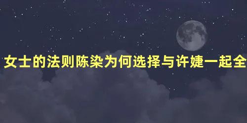 女士的法则陈染为何选择与许婕一起全力拼事业