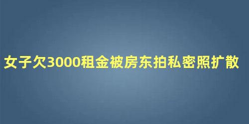 女子欠3000租金被房东拍私密照扩散