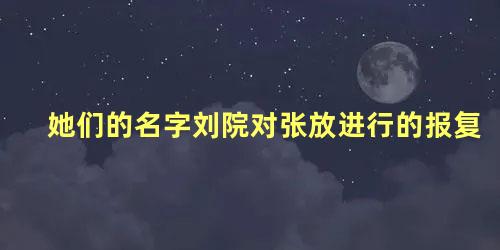 她们的名字刘院对张放进行的报复