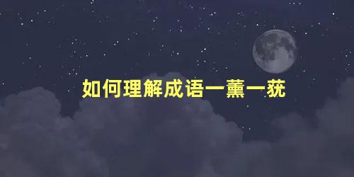 如何理解成语一薰一莸