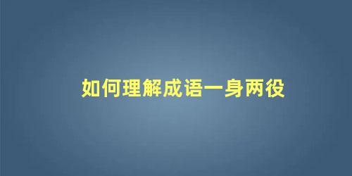 如何理解成语一身两役