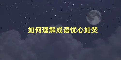 如何理解成语忧心如焚