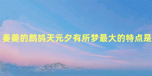 姜夔的鹧鸪天元夕有所梦最大的特点是什么