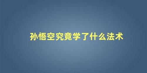 孙悟空究竟学了什么法术