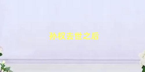 孙权去世之后