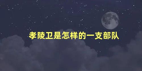 孝陵卫是怎样的一支部队