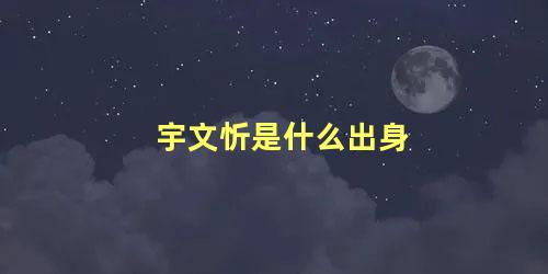 宇文忻是什么出身