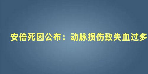 安倍死因公布：动脉损伤致失血过多