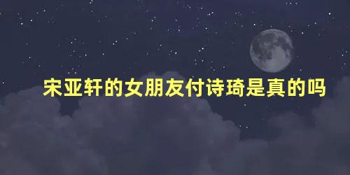 宋亚轩的女朋友付诗琦是真的吗