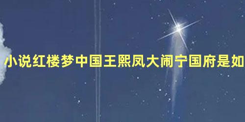 小说红楼梦中国王熙凤大闹宁国府是如何聪明反被聪明误的