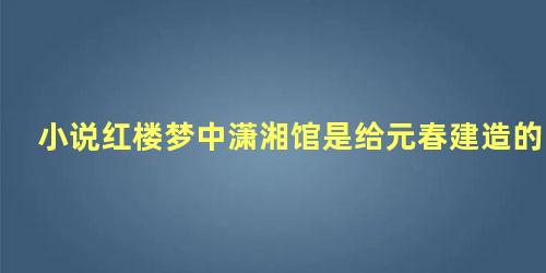 小说红楼梦中潇湘馆是给元春建造的