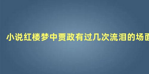 小说红楼梦中贾政有过几次流泪的场面