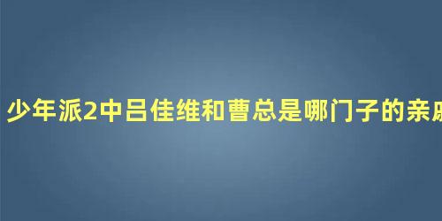 少年派2中吕佳维和曹总是哪门子的亲戚