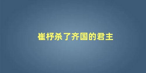 崔杼杀了齐国的君主