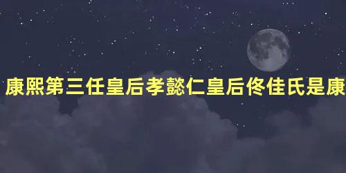 康熙第三任皇后孝懿仁皇后佟佳氏是康熙的真爱吗