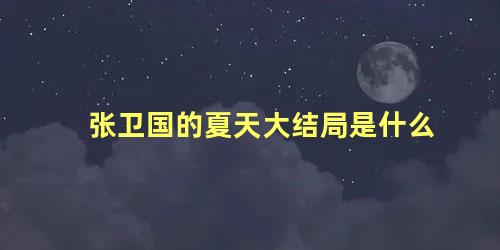 张卫国的夏天大结局是什么