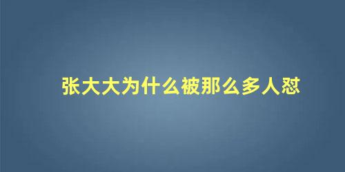 张大大为什么被那么多人怼