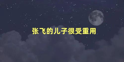 张飞的儿子很受重用