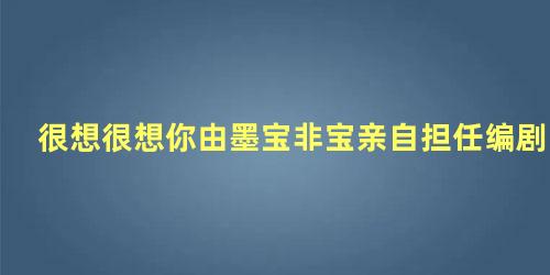 很想很想你由墨宝非宝亲自担任编剧