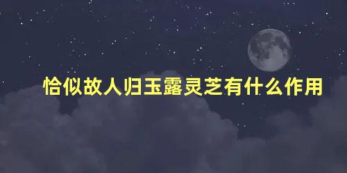 恰似故人归玉露灵芝有什么作用