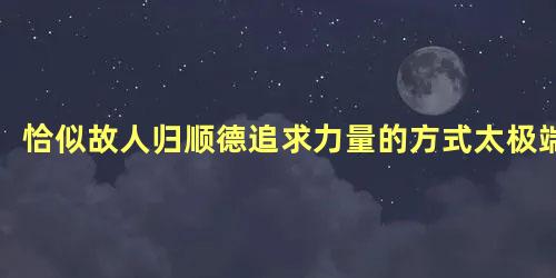 恰似故人归顺德追求力量的方式太极端