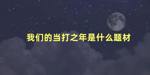 我们的当打之年是什么题材