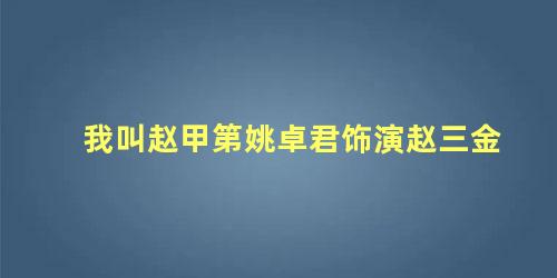 我叫赵甲第姚卓君饰演赵三金