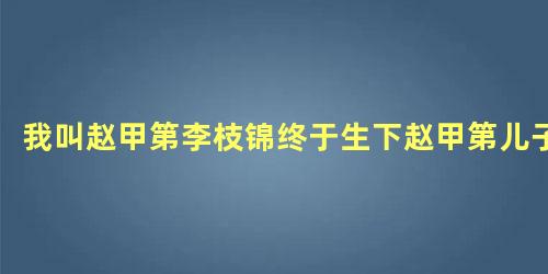 我叫赵甲第李枝锦终于生下赵甲第儿子