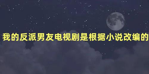 我的反派男友电视剧是根据小说改编的吗