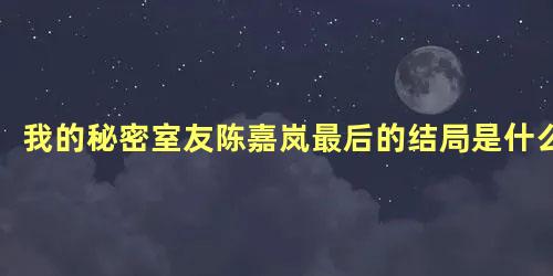 我的秘密室友陈嘉岚最后的结局是什么