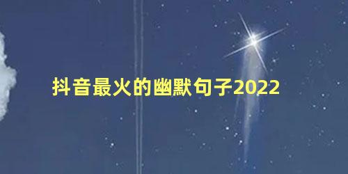 抖音最火的幽默句子2022