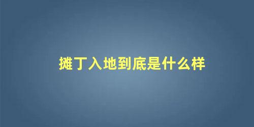 摊丁入地到底是什么样