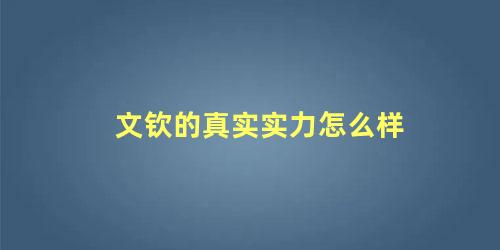 文钦的真实实力怎么样