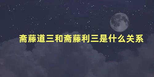 斋藤道三和斋藤利三是什么关系