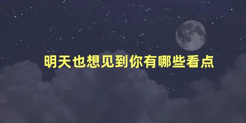 明天也想见到你有哪些看点