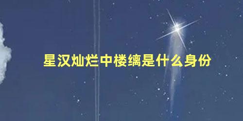 星汉灿烂中楼缡是什么身份