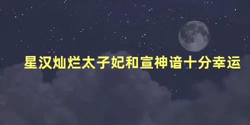 星汉灿烂太子妃和宣神谙十分幸运