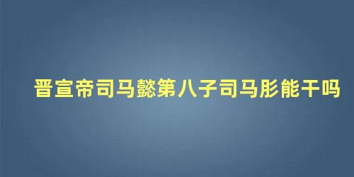 晋宣帝司马懿第八子司马肜能干吗