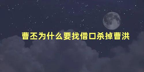 曹丕为什么要找借口杀掉曹洪