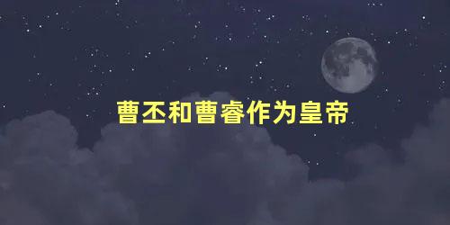 曹丕和曹睿作为皇帝