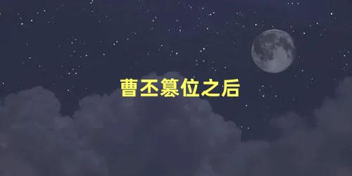 曹丕篡位之后