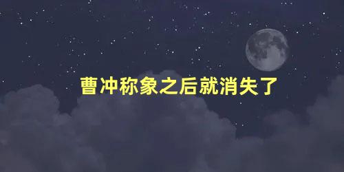 曹冲称象之后就消失了