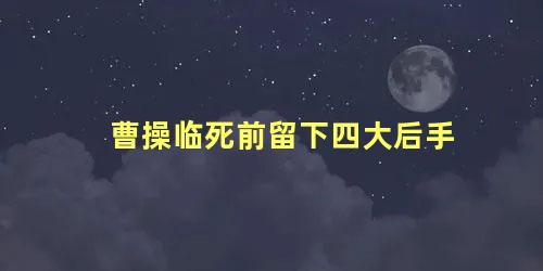 曹操临死前留下四大后手