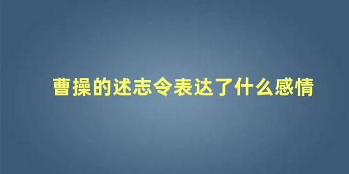 曹操的述志令表达了什么感情