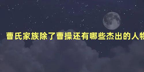 曹氏家族除了曹操还有哪些杰出的人物