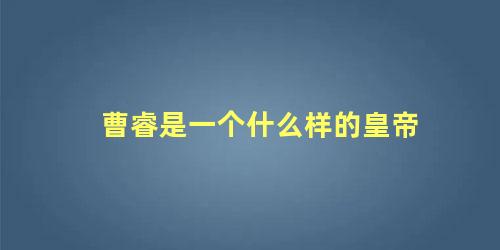 曹睿是一个什么样的皇帝